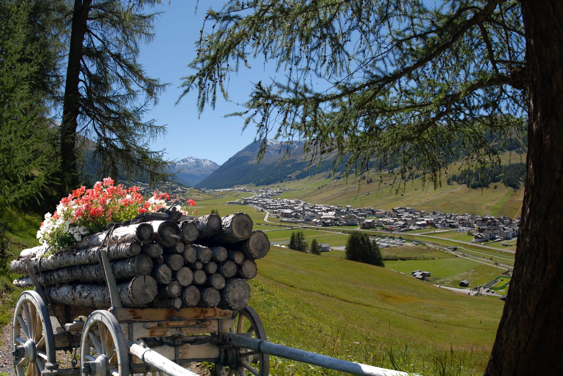 Livigno