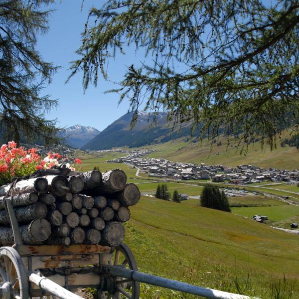 Livigno